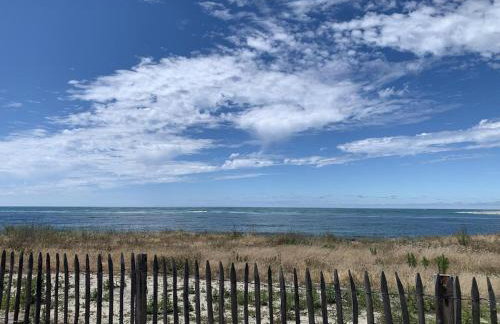 La Tomate Surfeuse 2 - Photo 9