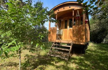 Gîte familial en pleine nature- Domaine Temali - Foto 14