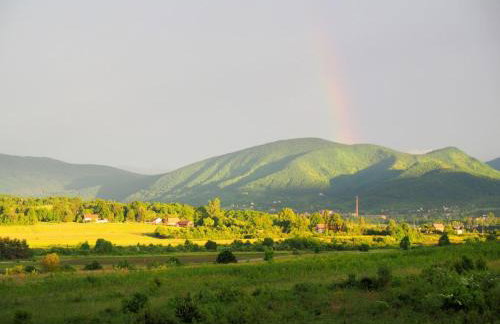 Apartments & Rooms Latin - Photo 66