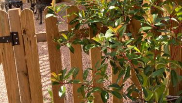 La petite nid - Foto 5, Garden, Garden view