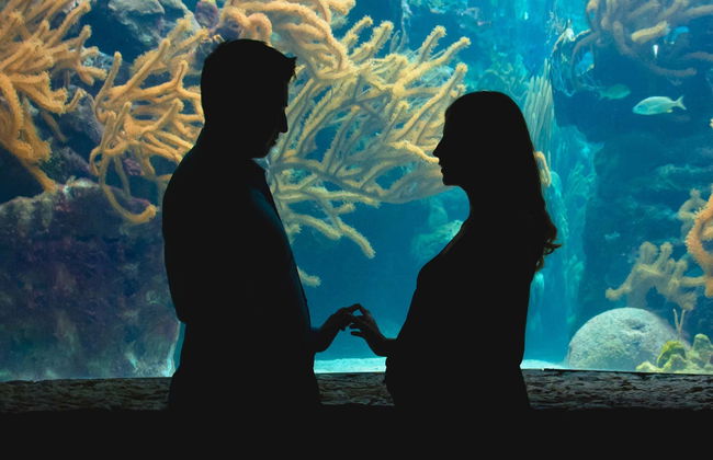 Entrada al Acuario de Génova + Degustación de helado - Foto 3