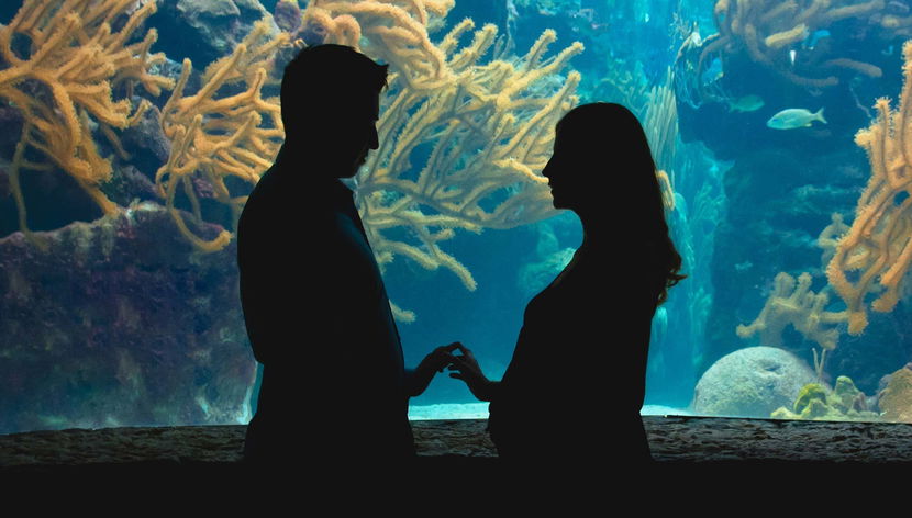 Entrada al Acuario de Génova + Degustación de helado