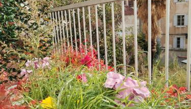 Sunny terrace - Photo 4