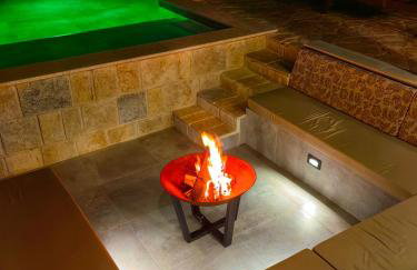 NEW 2023 Villa Tree of Life - Photo 22