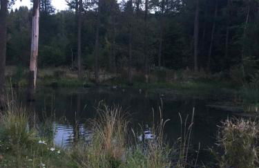 Altmarkblick - Foto 17