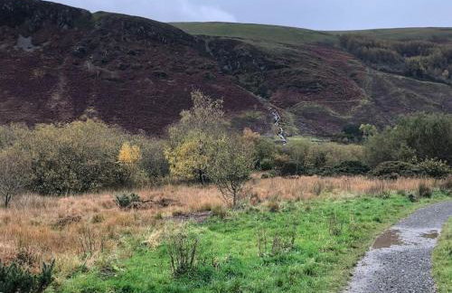 Lakeland Retreat - Foto 15