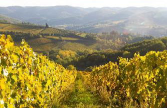 ROSSO DEL CHIANTI al CENTRO STORICO 1 - Foto 10