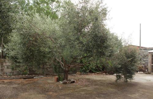 Casa vacanze Piscinas - Foto 19