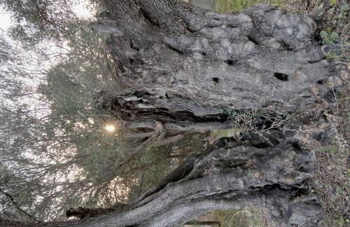 Charming Country House - Foto 27