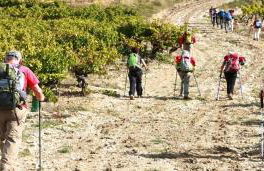 Le Cloître des Dominicains - Foto 39