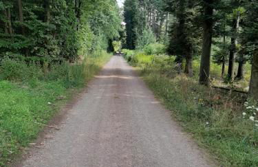 Residenz Moselstausee - Foto 69