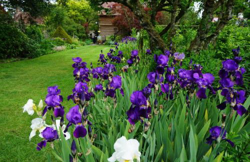 Character 2 double bedroom cottage in Shaftesbury - Foto 41