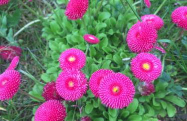 LELE-LAKE super domek Mazury - Photo 20