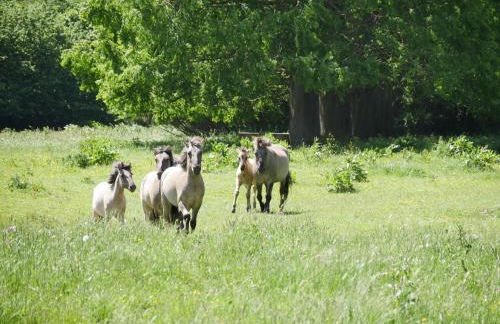 Käptn's Koje - Foto 79