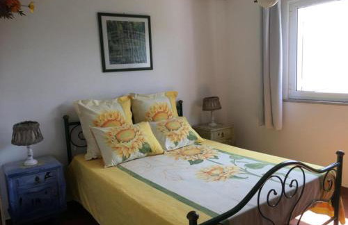 Lugar das Andorinhas - Foto 43