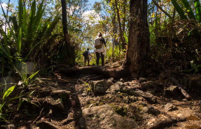 Randonnée à La Chapelle de Cilaos - Photo 8