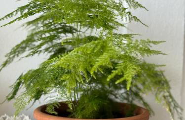 Sideroporta castle Náfpaktos - Foto 38