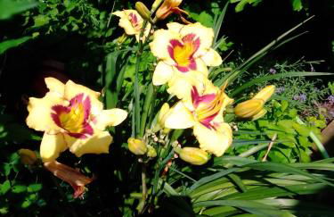 Gästehaus Brunhilde - Foto 30