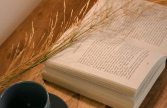 AELIA VILLA - Photo 17