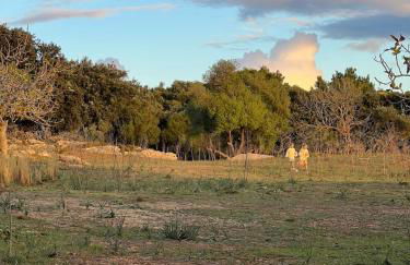 Finca es Born - vistas panorámicas - Photo 27