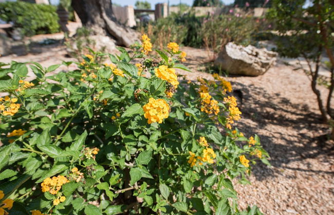 Villa Urania - Photo 25