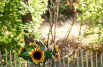 DOMIZIL AM SIEL "Reisen für Alle" - Foto 29