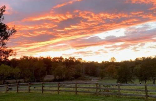 Farm living at it's best! - Foto 56