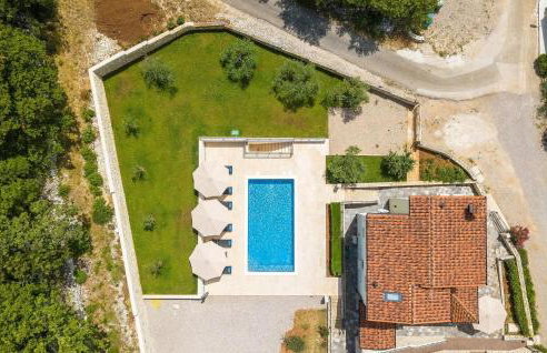 Villa Camellia Trget - Foto 15