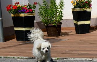 Apartman Katja - Foto 31