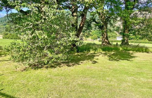 The Prince - Uk42204 - Foto 24