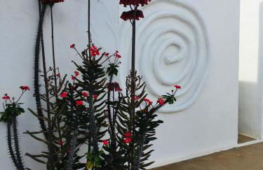 Apartamentos y Habitaciones Villa Marina - Foto 7