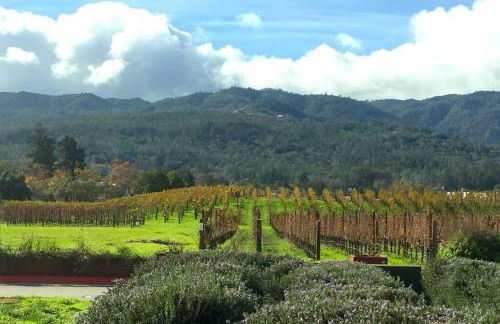 Rustic Luxe 'Fort Camp' Retreat - Foto 18