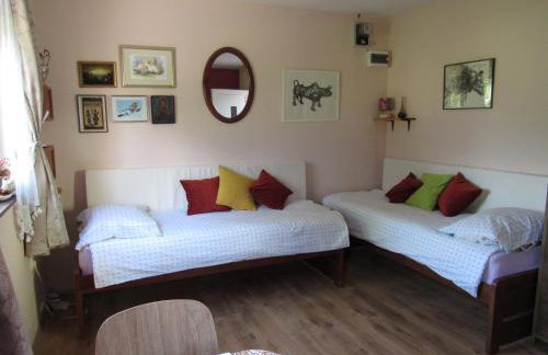 Propolis house - Foto 71