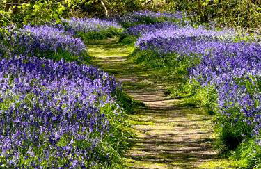 The Granary - Wood Farm Barn. Luxury Barn with wonderful countryside views - Photo 49