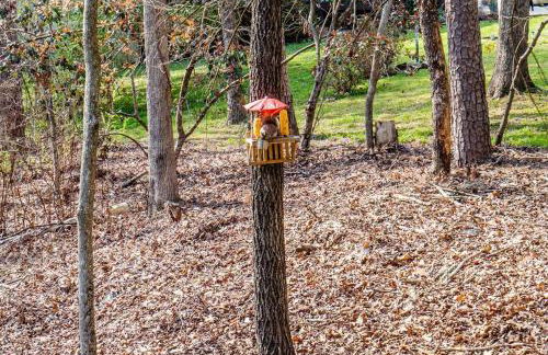 My Happy Place-Games, Lakeview, & Scenery Views - Foto 31