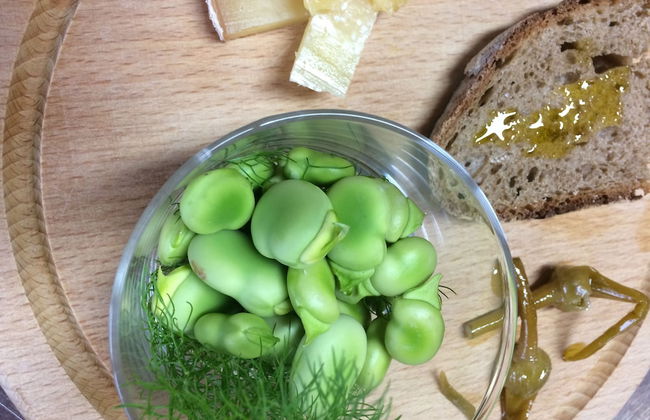 Fattoria Santa Vittoria Istrice Apartment - Foto 12