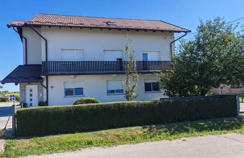 Apartmani Vinea Zara - Foto 5