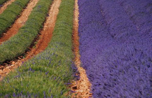 Une Heure Bleue - Foto 18