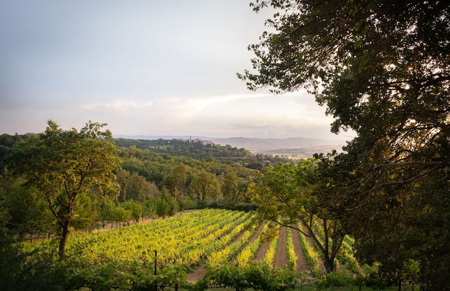 Agriturismo Le Cerque - Foto 26