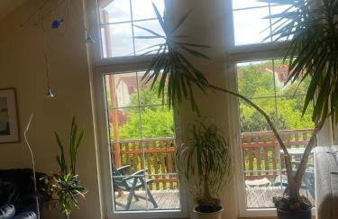 Im schönen Garten - Photo 9