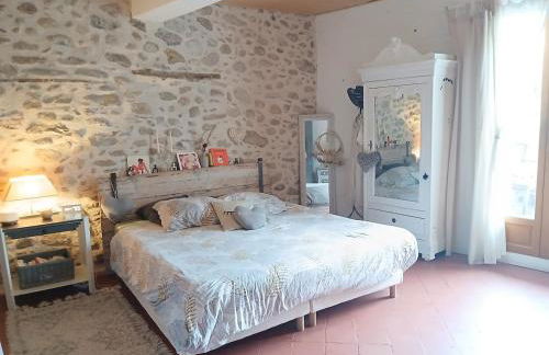 Maison coeur de village 250 m2 piscine clim - Foto 41