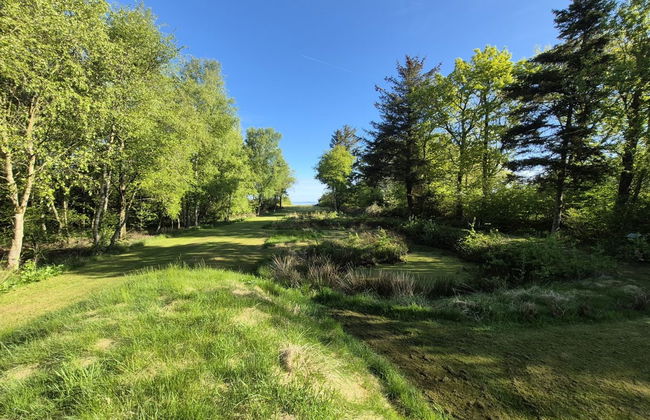 "Aswarth" - 50m to the fjord - Photo 4