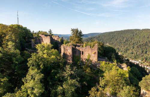 Ferienwohnungen Schwabenhof - Foto 50