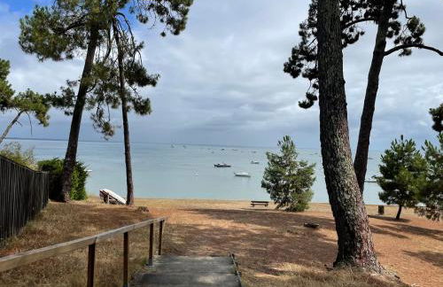 Cap Ferret - Villa Sérénité - piscine, proche Océan et Bassin, classée 4 étoiles Meublé de tourisme - Foto 30