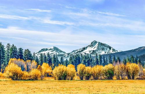 Forest Escape - GM 428 - Foto 9