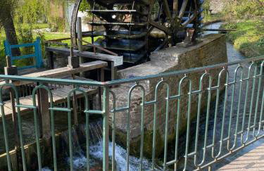 Les gîtes du château du cèdre - Foto 29