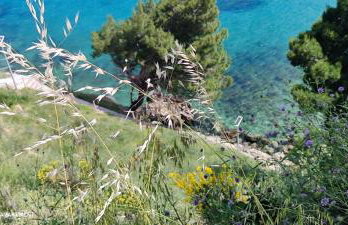 Rift Luxury Apartments - Photo 15