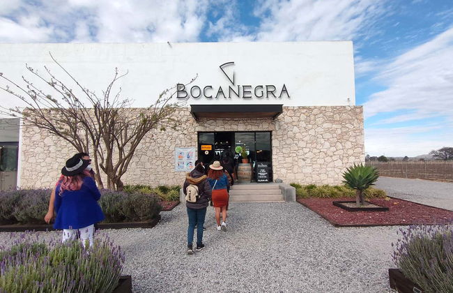 Dégustation de vin à la cave Freixenet + Dégustation de fromage à la cave Bocanegra - Photo 4