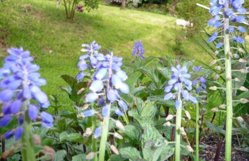 Ferienwohnung Brohltal-Aue - Foto 24