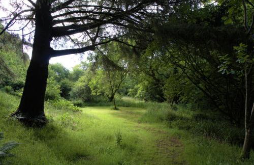 Ta Mill Cottages & Lodges - Pump Cottage - Foto 47